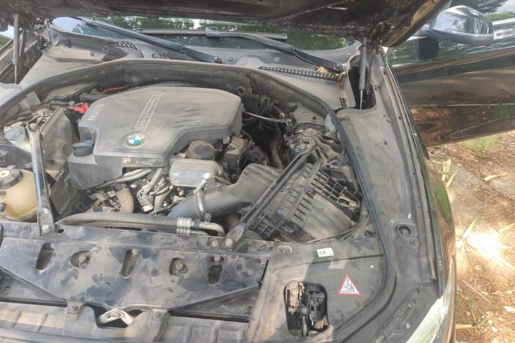 Used BMW 5 Series 2014 520Li Elegant Model Engine Bay Left