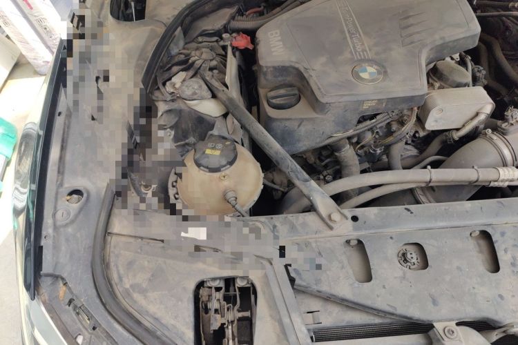 Used BMW 5 Series 2014 520Li Elegant Model Engine Bay Right