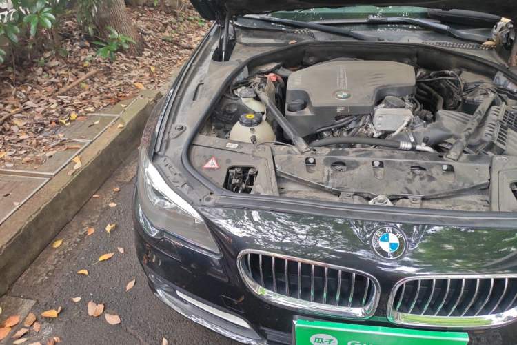 Used BMW 5 Series 2014 525Li Leading Model Engine Bay Right