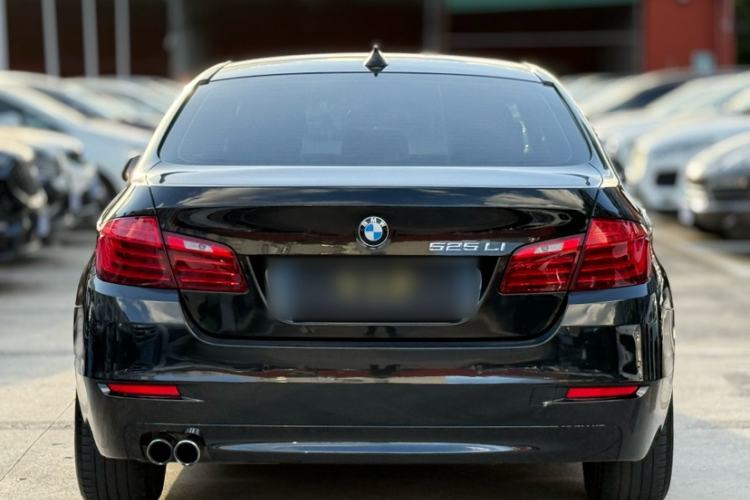 Used BMW 5 Series 2014 525Li Leading Model Exterior 2
