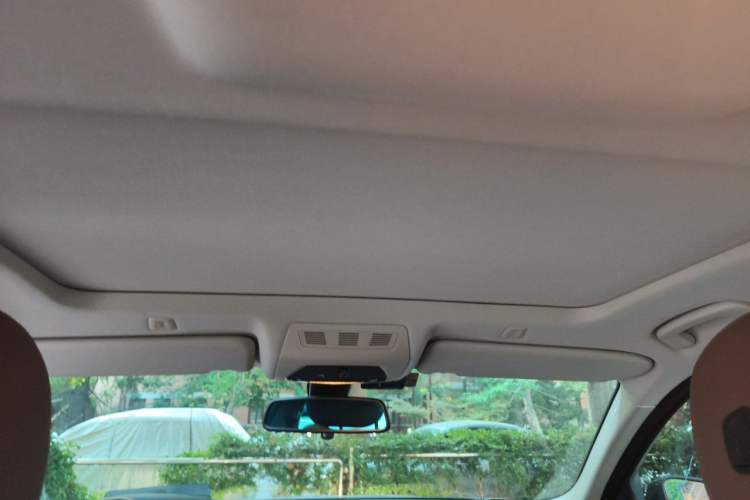 Used BMW 5 Series 2014 528Li Leading Model Headliner