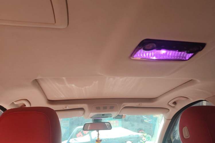 Used BMW 5 Series 2014 525Li Leading Model Headliner