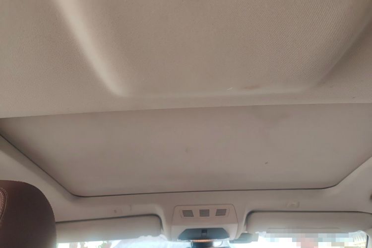 Used BMW 5 Series 2014 525Li Leading Model Headliner