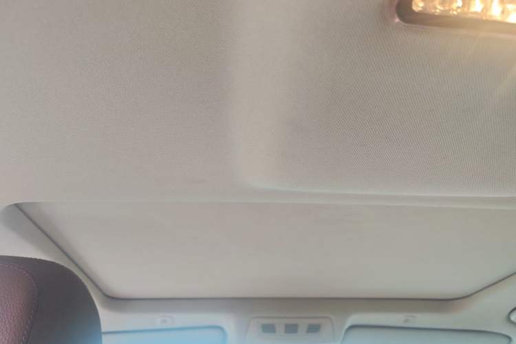 Used BMW 5 Series 2014 520Li Elegant Model Headliner