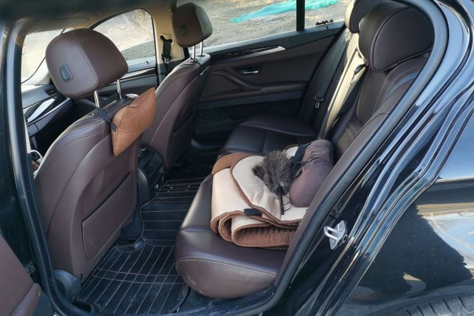 Used BMW 5 Series 2014 525Li Luxury Design Package Interior 4