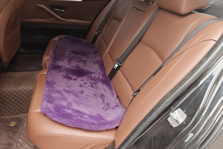 Used BMW 5 Series 2014 520Li Elegant Model Left Rear Seat