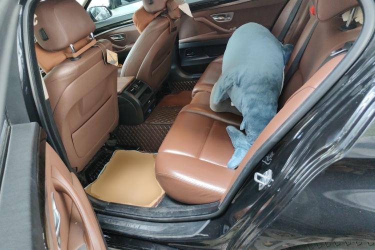 Used BMW 5 Series 2014 525Li Leading Model Left Rear Seat