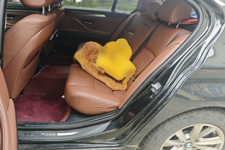 Used BMW 5 Series 2014 520Li Elegant Model Left Rear Seat