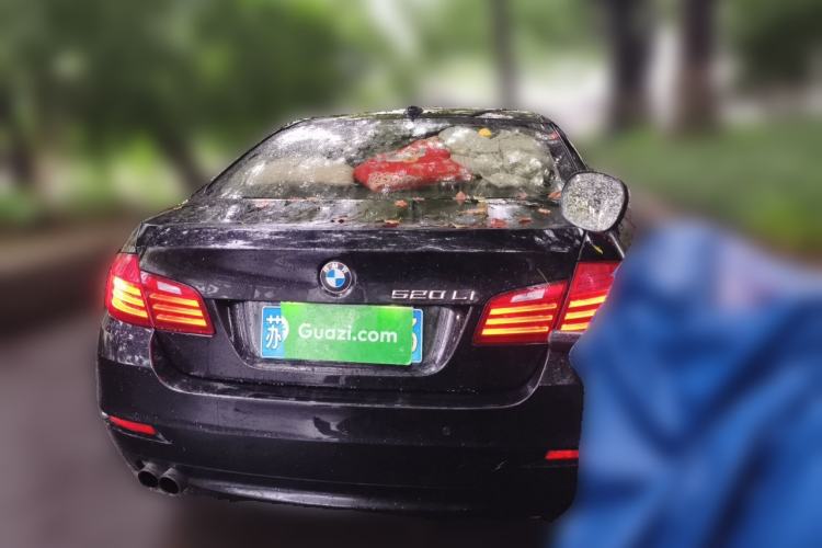 Used BMW 5 Series 2014 520Li Elegant Model Rear