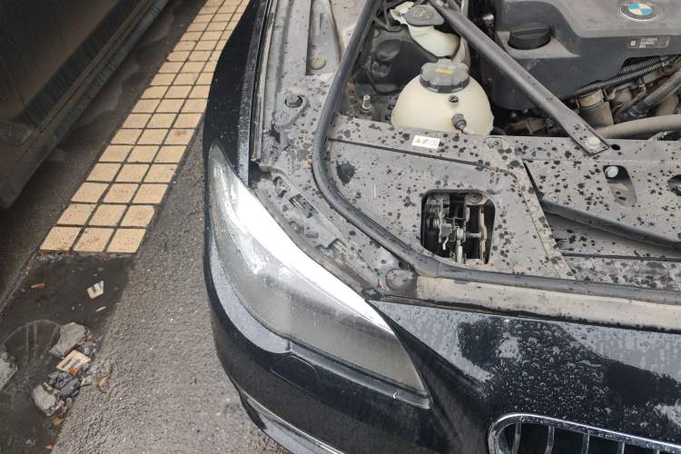 Used BMW 5 Series 2014 525Li Luxury Design Package Right Front Headlight