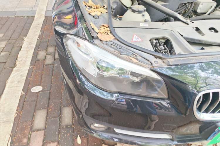 Used BMW 5 Series 2014 525Li Leading Model Right Front Headlight