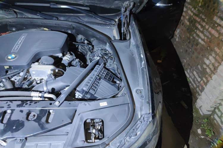 Used BMW 5 Series 2014 520Li Elegant Model Engine Bay Left