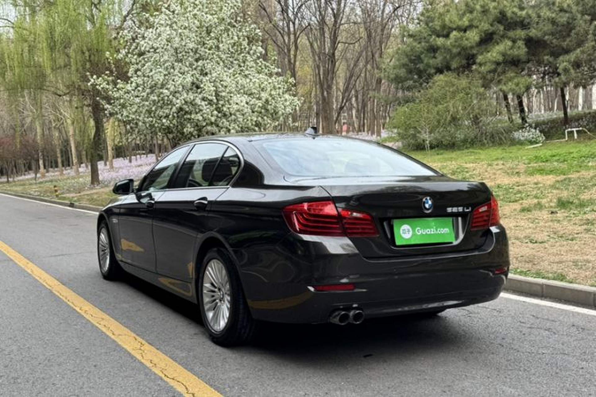 Used BMW 5 Series 2014 525Li Leading Model Exterior 1