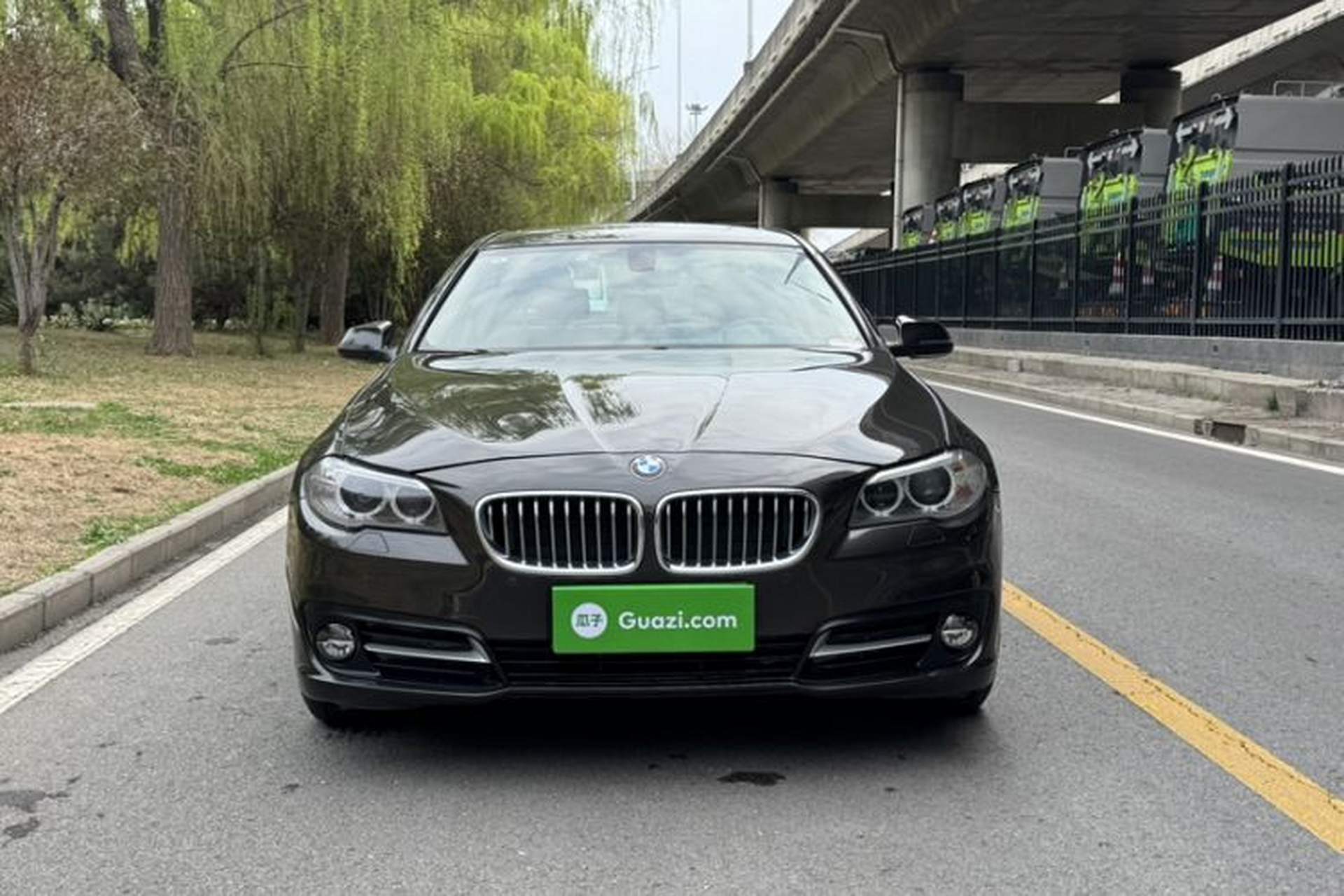 Used BMW 5 Series 2014 525Li Leading Model Exterior 5