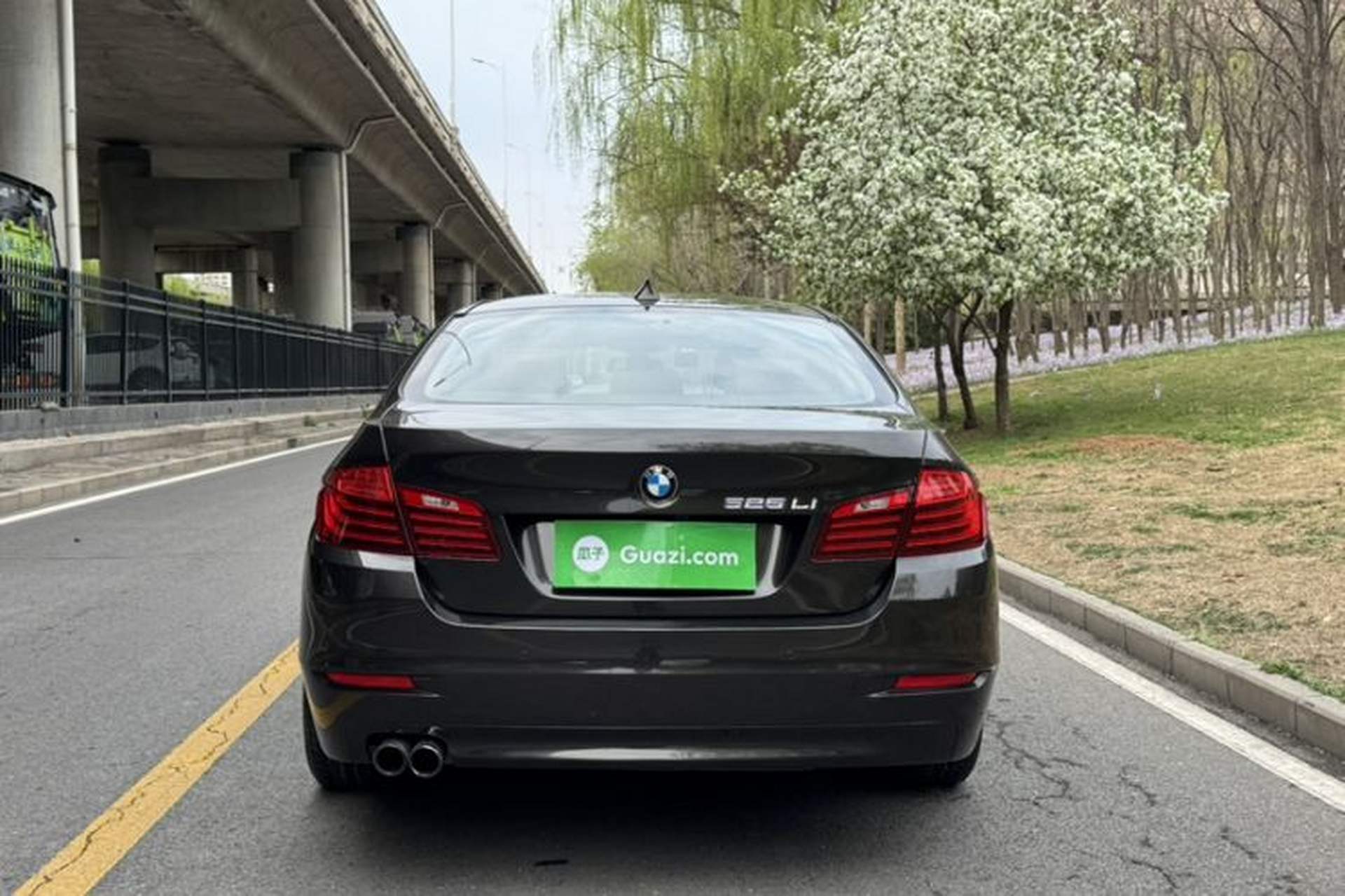 Used BMW 5 Series 2014 525Li Leading Model Exterior 7