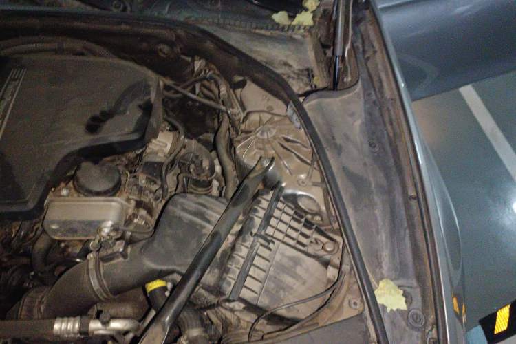 Used BMW 5 Series 2014 520Li Elegant Model Engine Bay Left