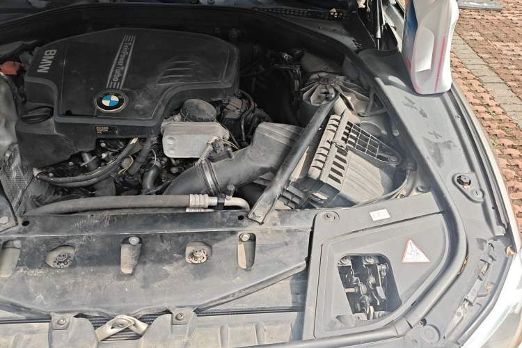 Used BMW 5 Series 2014 520Li Elegant Model Engine Bay Left