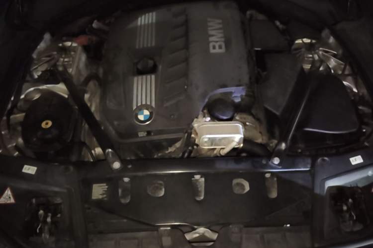 Used BMW 5 Series 2014 530Li Leading Model Engine Bay