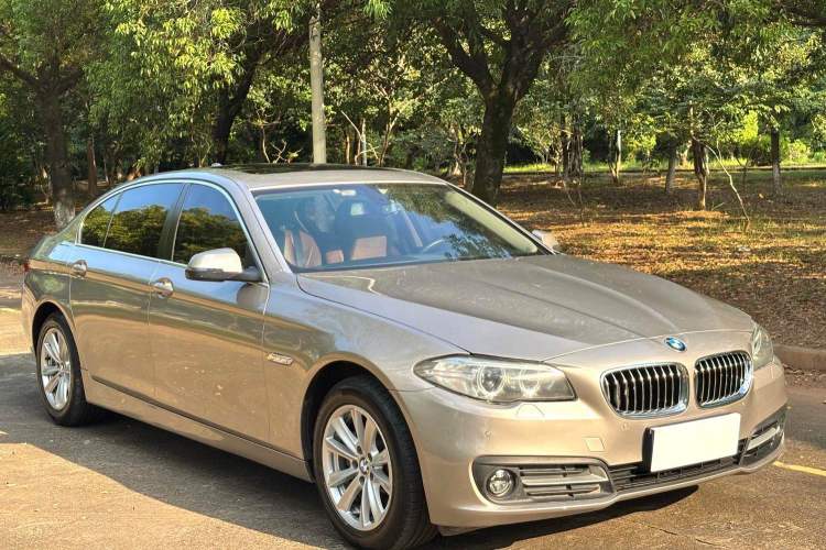 Used BMW 5 Series 2014 520Li Elegant Model Exterior 5