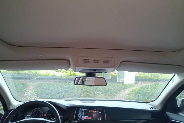 Used BMW 5 Series 2014 525Li Leading Model Headliner