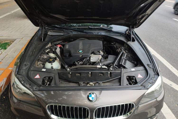 Used BMW 5 Series 2014 520Li Elegant Model Engine Bay