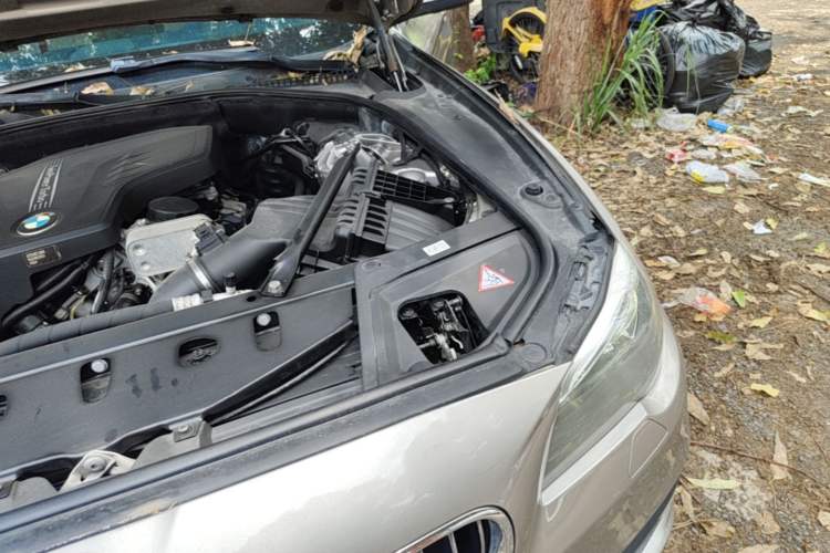 Used BMW 5 Series 2014 520Li Elegant Model Engine Bay Left