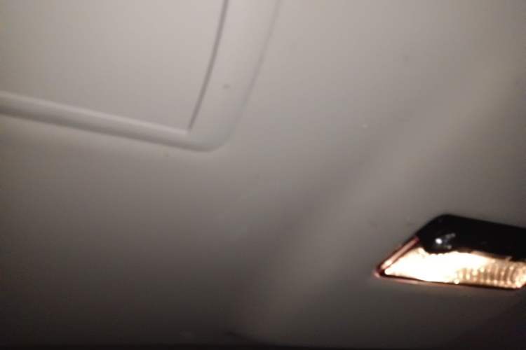 Used BMW 5 Series 2014 528Li Leading Model Headliner