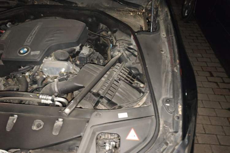 Used BMW 5 Series 2014 520i Elegant Edition Engine Bay Left