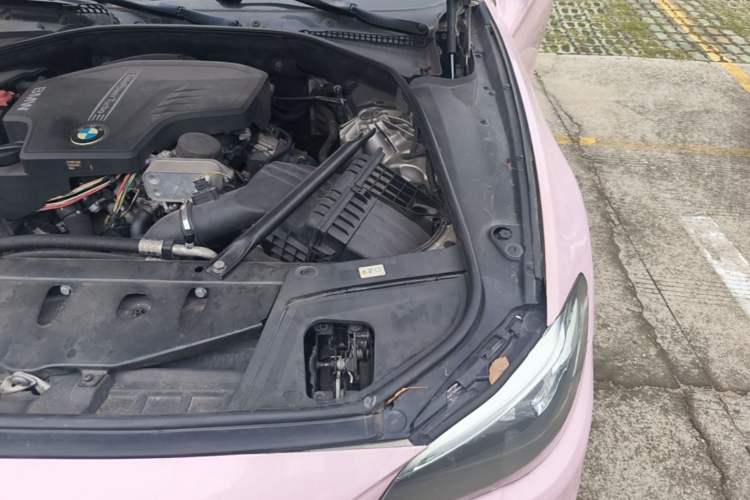 Used BMW 5 Series 2014 525Li Leading Model Engine Bay Left