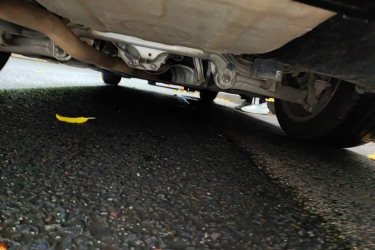Used BMW 5 Series 2014 520Li Elegant Model Chassis Rear