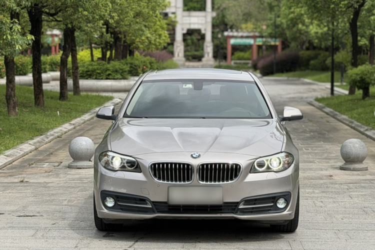 Used BMW 5 Series 2014 525Li Leading Model Exterior 3