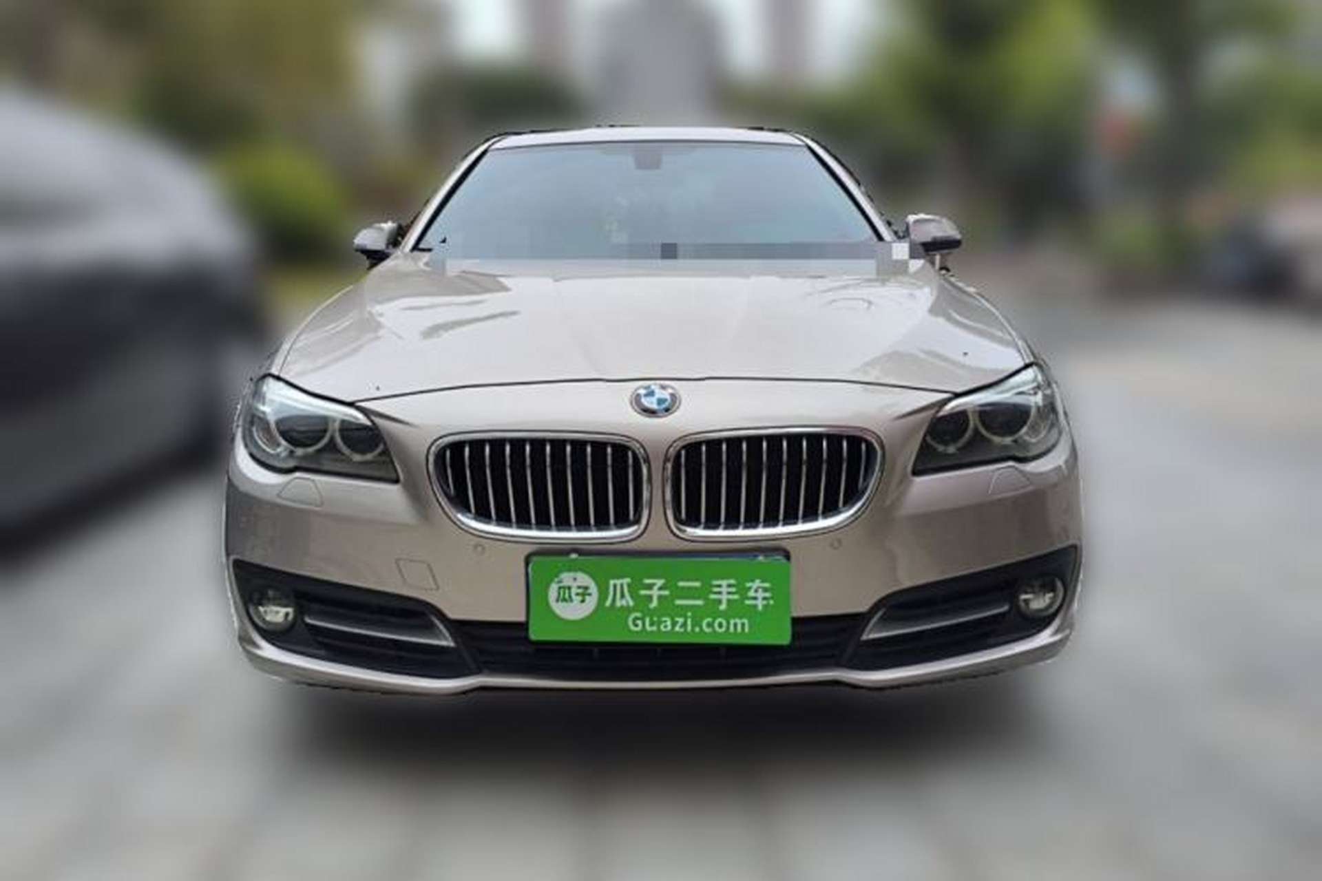 Used BMW 5 Series 2014 525Li Leading Model Front
