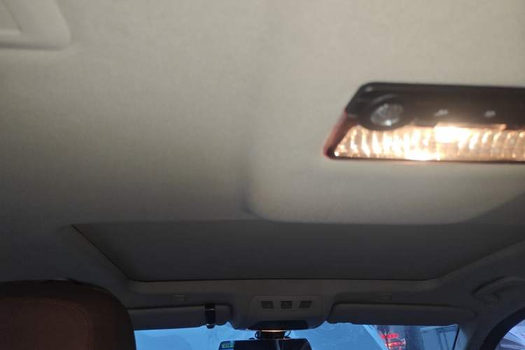 Used BMW 5 Series 2014 525Li Leading Model Headliner