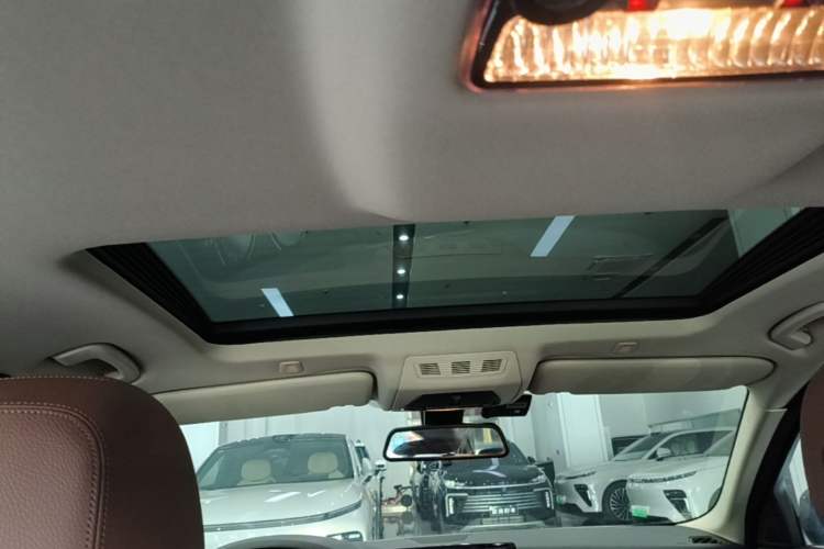 Used BMW 5 Series 2014 520i Elegant Edition Headliner