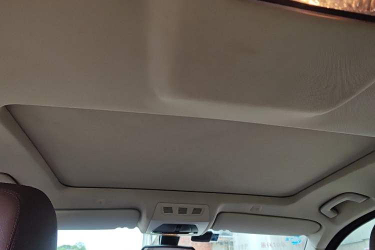 Used BMW 5 Series 2014 520Li Elegant Model Headliner