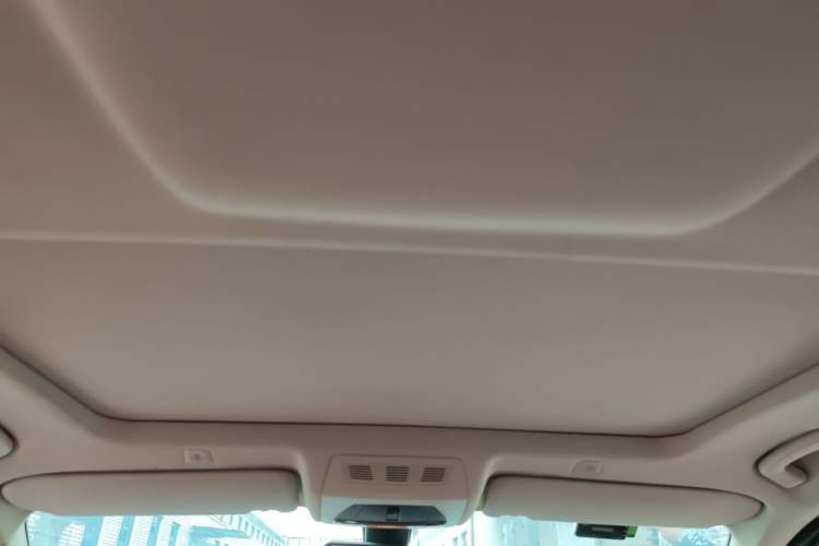 Used BMW 5 Series 2014 525Li Leading Model Headliner