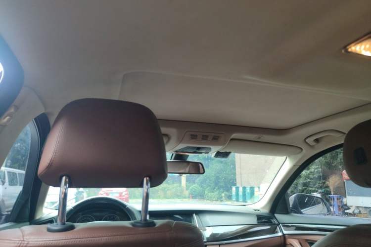 Used BMW 5 Series 2014 525Li Leading Model Headliner