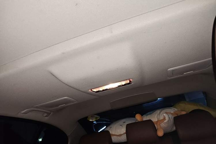 Used BMW 5 Series 2014 525Li Leading Model Headliner