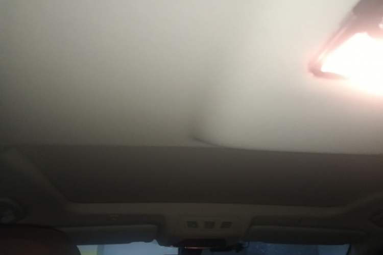 Used BMW 5 Series 2014 520Li Elegant Model Headliner