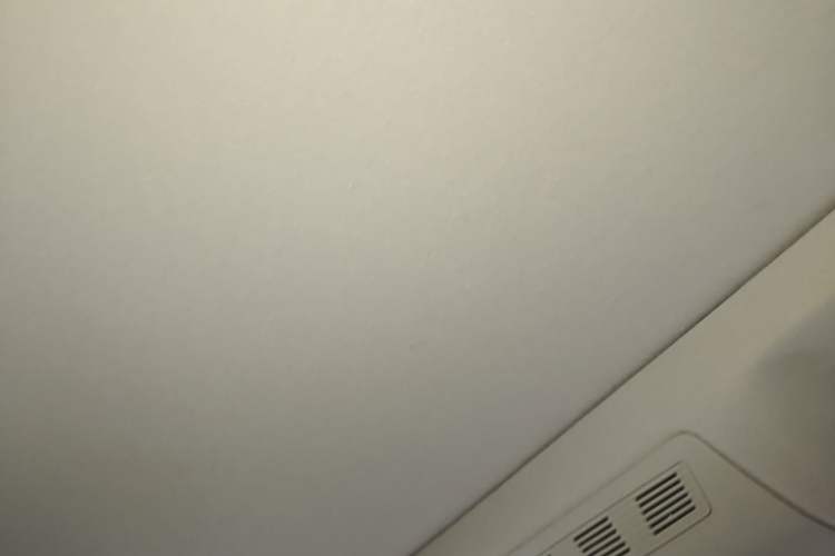 Used BMW 5 Series 2014 525Li Luxury Design Package Headliner