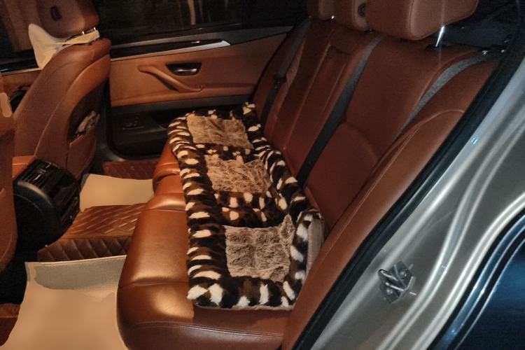 Used BMW 5 Series 2014 520Li Elegant Model Left Rear Seat
