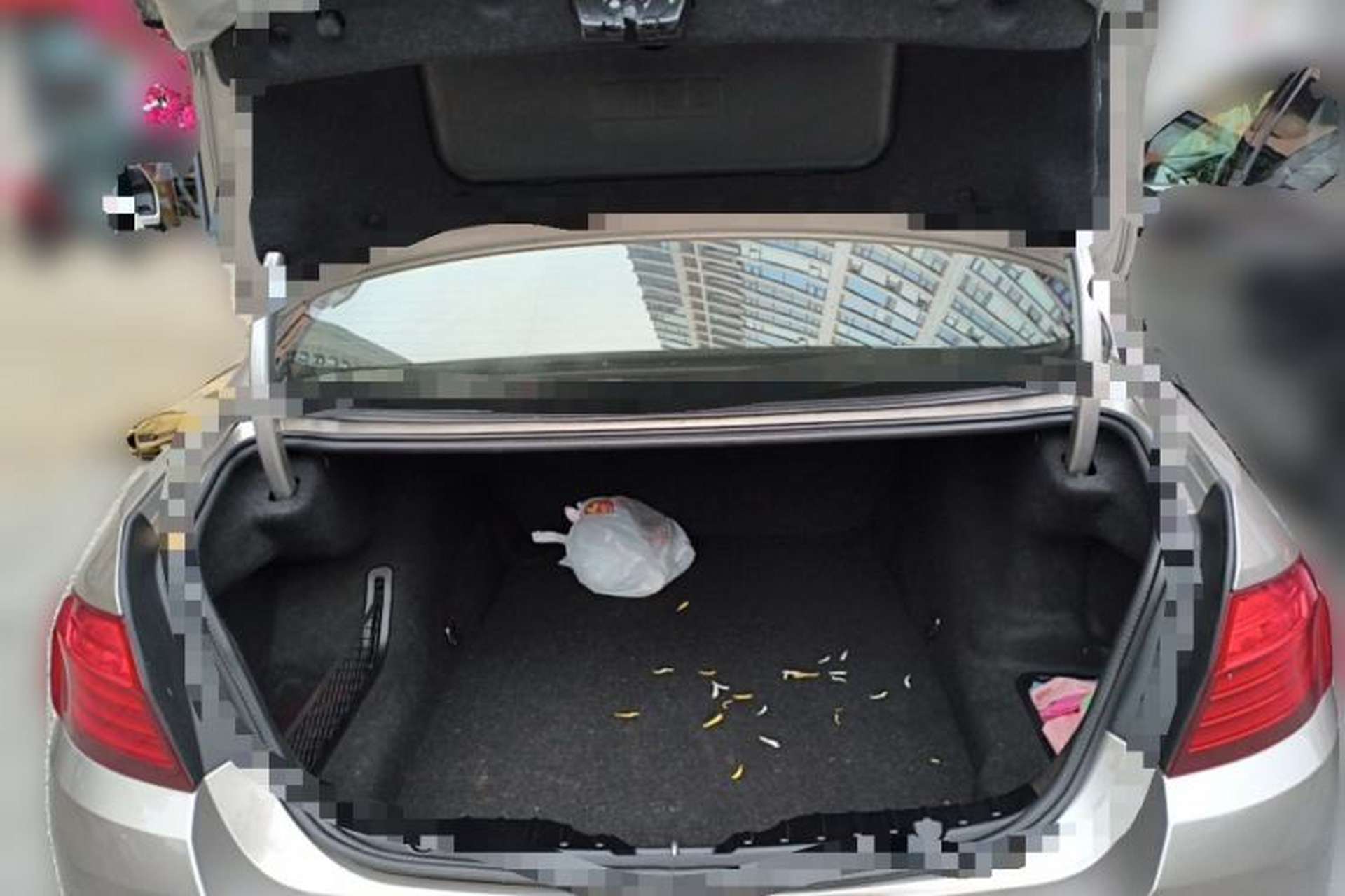 Used BMW 5 Series 2014 525Li Leading Model Trunk