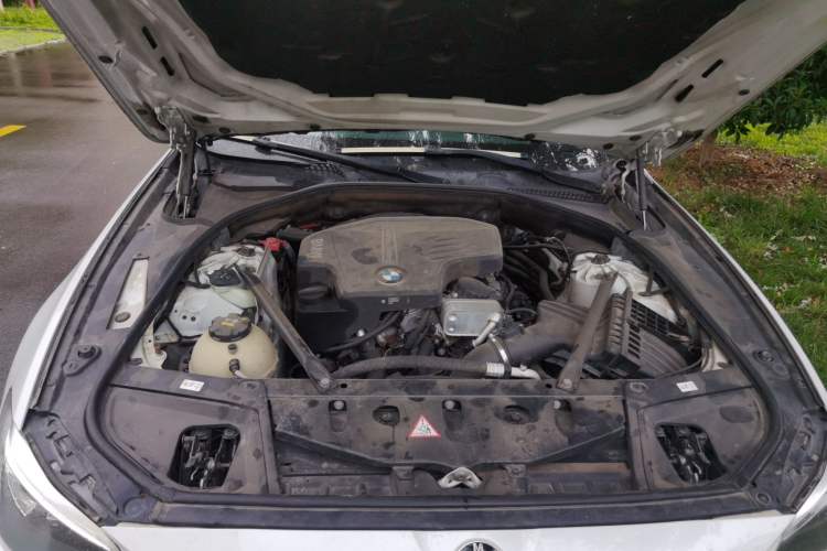 Used BMW 5 Series 2014 520Li Elegant Model Engine Bay