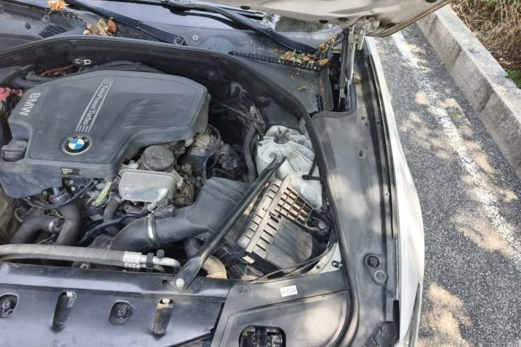 Used BMW 5 Series 2014 525Li Luxury Design Package Engine Bay Left