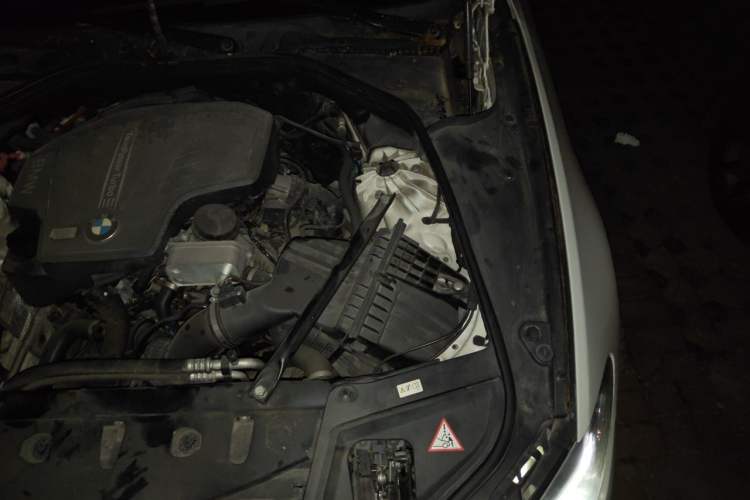 Used BMW 5 Series 2014 520i Elegant Edition Engine Bay Left