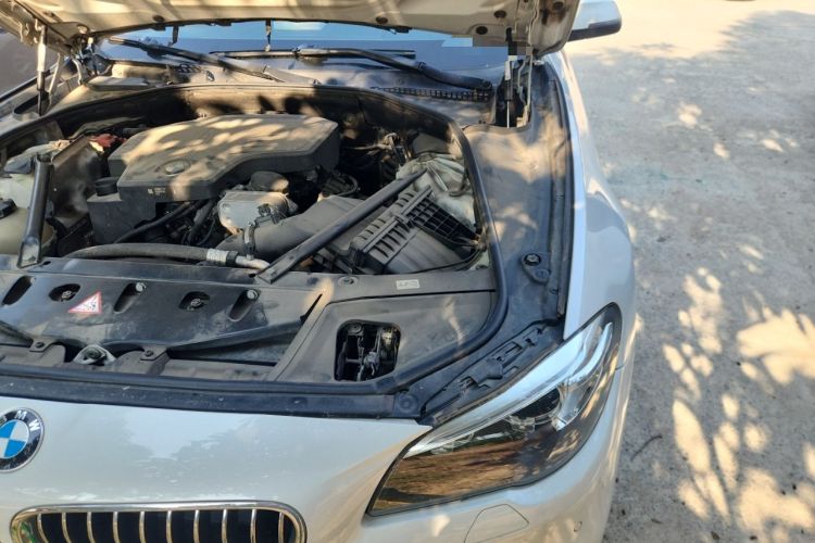 Used BMW 5 Series 2014 520Li Elegant Model Engine Bay Left