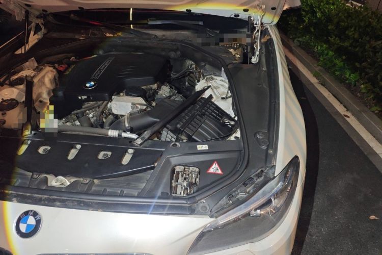 Used BMW 5 Series 2014 520Li Elegant Model Engine Bay Left