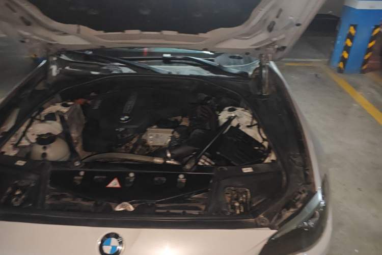 Used BMW 5 Series 2014 520Li Elegant Model Engine Bay Left