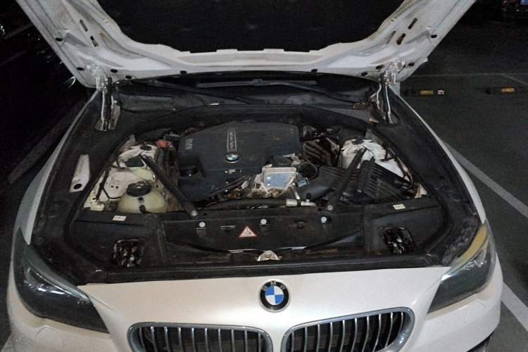 Used BMW 5 Series 2014 520Li Elegant Model Engine Bay