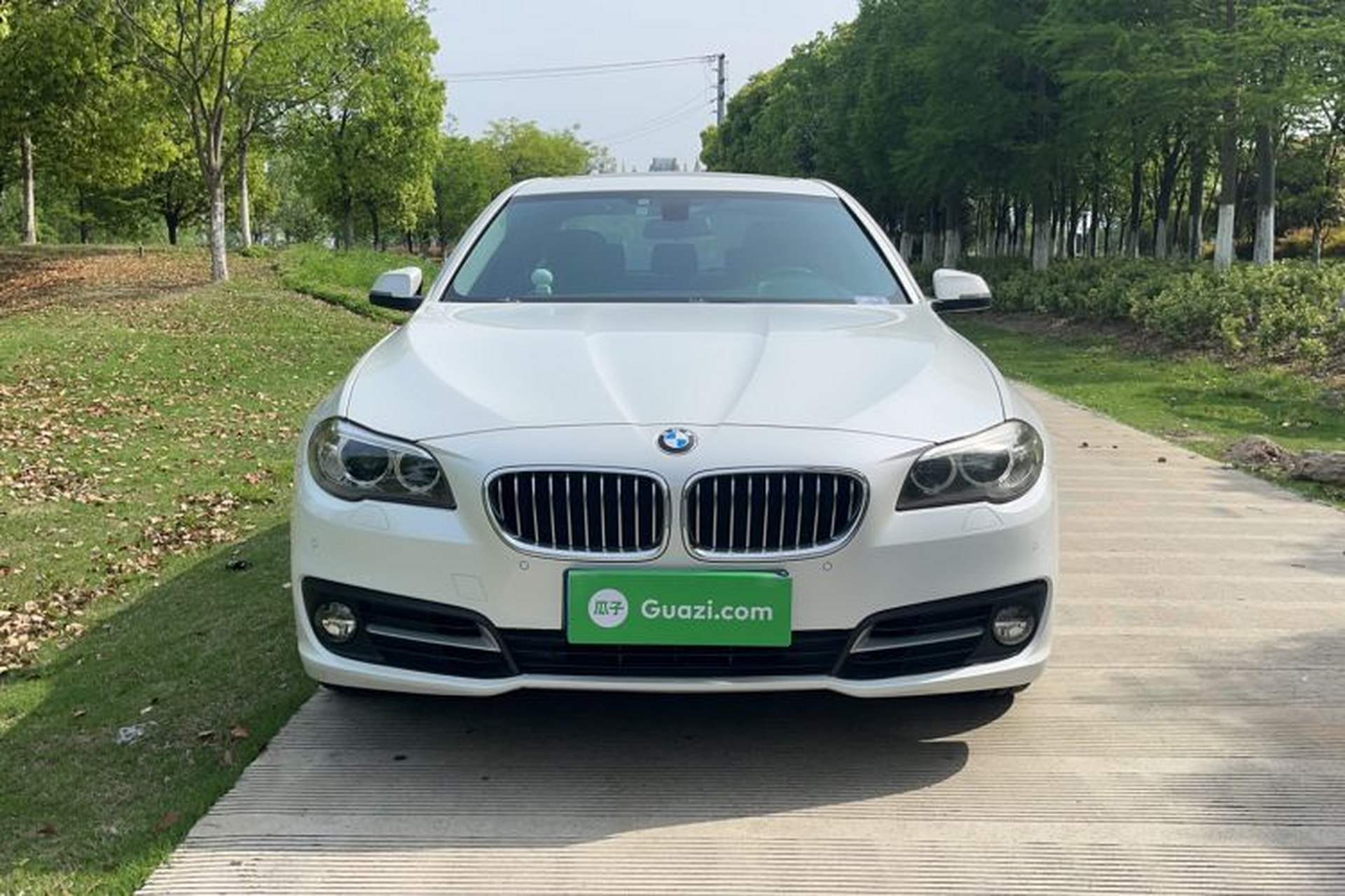 Used BMW 5 Series 2014 520Li Elegant Model Exterior 1